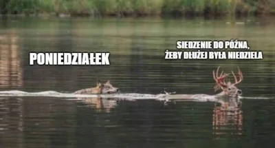 KosmicznyPaczek - #humorobrazkowy #heheszki 
#niedzielawieczur