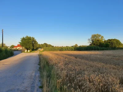 klzon - Po całym dniu siedzienia w norze chłop wyszedł na spacer. A wy jak spędzacie ...