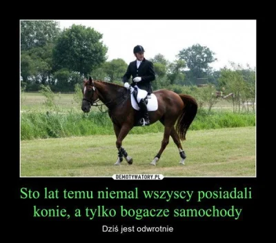 januszzczarnolasu - > Kiedyś (przed samochodami) to było ( ͡° ͜ʖ ͡°)

@TrzyQn: ( ͡°...