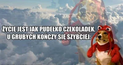 lifapek - ( ͡° ͜ʖ ͡°)

#heheszki #humorobrazkowy #wtf