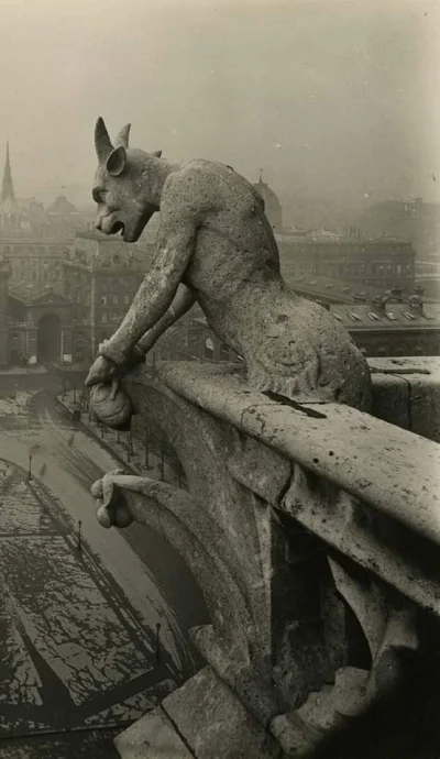 Ernest_ - Gargulec na elewacji Katedry Notre Dame
Paryż, 1920

#architektura #fran...