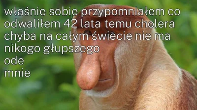 bardzo_lewak - #konkursnanajbardziejgownianymemznosaczem #nosaczfeeldajski