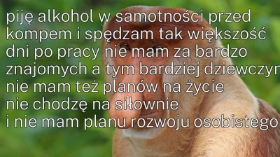 bardzo_lewak - #konkursnanajbardziejgownianymemznosaczem #nosaczfeeldajski