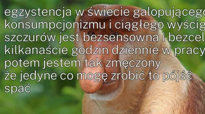 bardzo_lewak - #konkursnanajbardziejgownianymemznosaczem #nosaczfeeldajski