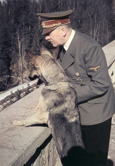 nowyjesttu - Dzienniki Goebbelsa, 30 maja 1942:
"Bogu dzięki, Führer cieszy się znak...
