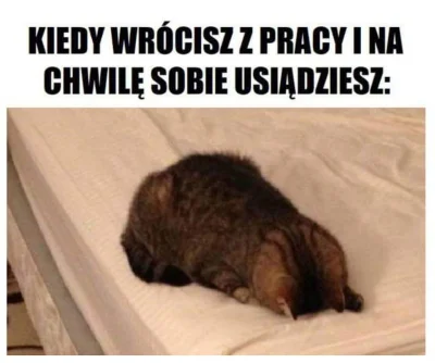 Leisik34 - Tak właśnie zazwyczaj jest ! ( ͡~ ͜ʖ ͡°) 
 #heheszki #humorobrazkowy