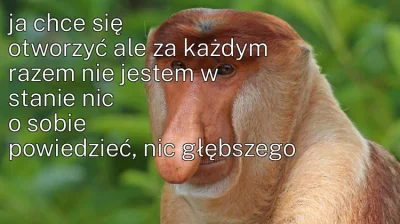 bardzo_lewak - #konkursnanajbardziejgownianymemznosaczem #nosaczfeeldajski