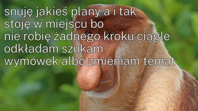 bardzo_lewak - #konkursnanajbardziejgownianymemznosaczem #nosaczfeeldajski