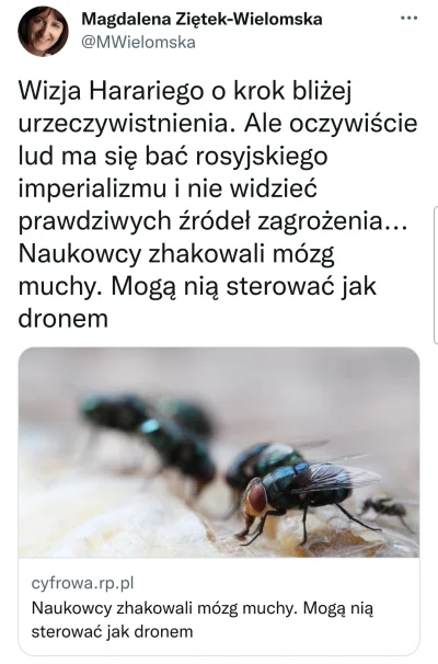 A.....i - Problemem nie jest to że za naszą wschodnią granicą w barbarzyński sposób m...