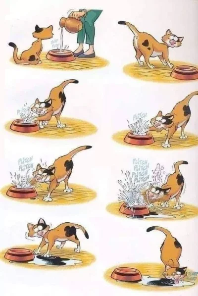 xandra - Pamiętajcie o wodzie dla zwierzaków ;)

#kot #koty #heheszki #upaly #humor...