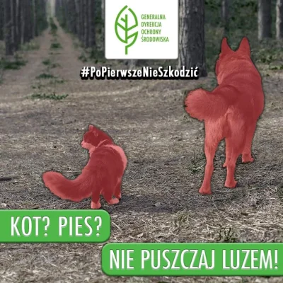 PiesTaktyczny - Ani kot, ani pies nie powinien chodzić luzem. Zwierzak powinien być p...