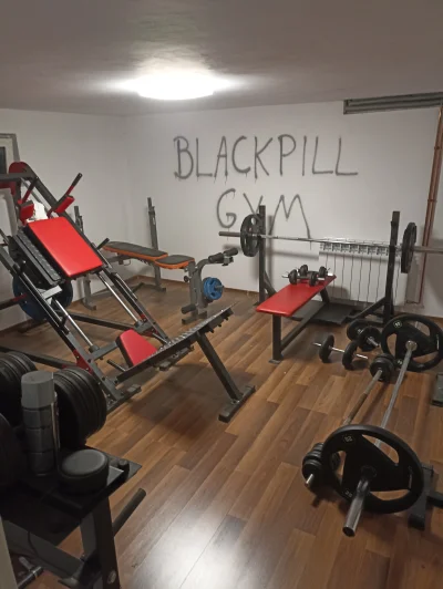 BlackpillNaCalego - Z piwnicy wychodzą największe dziki xD
#blackpill #gymcel
