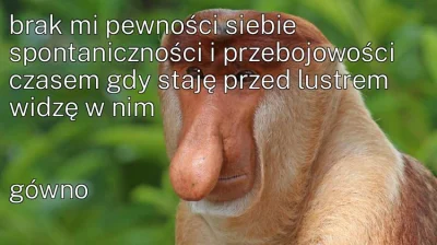 bardzo_lewak - #konkursnanajbardziejgownianymemznosaczem #nosaczfeeldajski