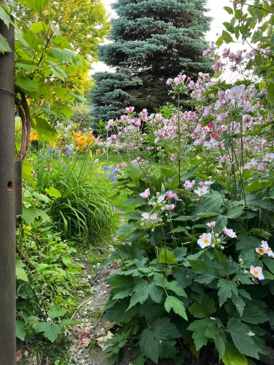 shopec - 21 lipca – tej części ogrodu jeszcze nie widzieliście – zapraszam do naszej ...