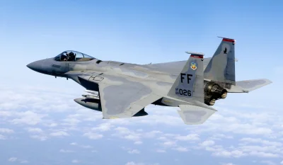 n.....d - @bleblebator: F-15 to świetny samolot. Izrael go używał. To coś mówi.