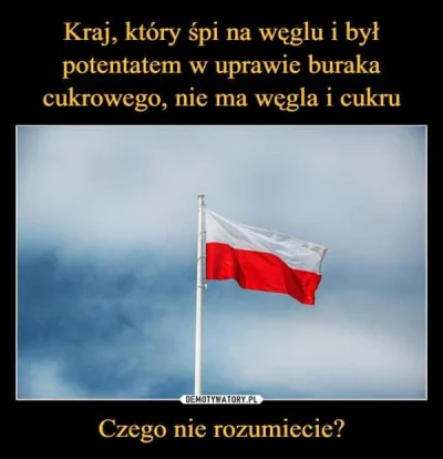 kapy_kulu - "Gdybyśmy mieli wystarczająco dużo stali mogliśmy zalać Europę konserwami...