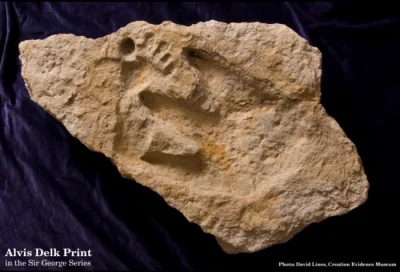 jobless - Skała z odciskiem ludzkiej stopy obok śladu łapy dinozaura znaleziona w 200...