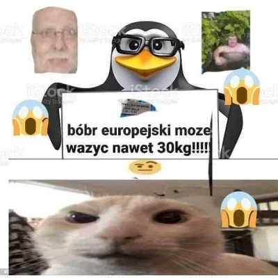 SaD2137 - Bobr europejski moze wazyc nawet 30kg