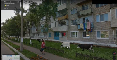 artem17 - U ruskich na osiedlu mieszkaniowym stabilnie ( ͡° ͜ʖ ͡°)
#ukraina #rosja #...