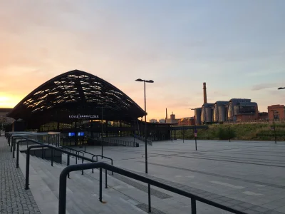 kopek - #dziendobry #lodz