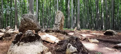 Zwiadowca_Historii - Unikalne pradawne megality na Bukowej Górze w woj. śląskim (GALE...