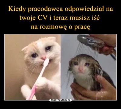 chcialbymbycnormalny - Złożyłem CV ponad 2 tygodnie temu i nawet się nie łudziłem że ...