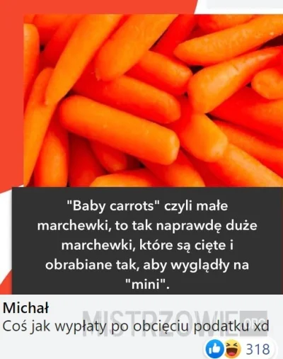 luxkms78 - #wyplaty #wyplata #babycarrots #carrots #podatek