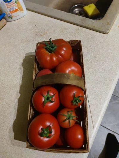 KORNI_K - #pomidory #ogrodnictwo #chilihead
Coś mi tam chyba wyszło w tym roku :) Ja...