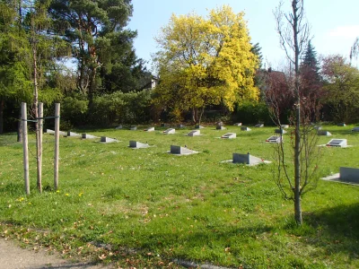 Aleale2 - @dragon7: cmentarz oficerów radzieckich we Wrocławiu jest całkiem ładny na ...