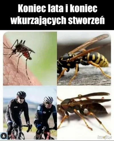 wiesniakzdziuryzabitejdeskami