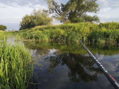 Grysik - Ale miałem przyjemny wypad. Mała rzeczka, może 2m głębokości w najgłębszym m...