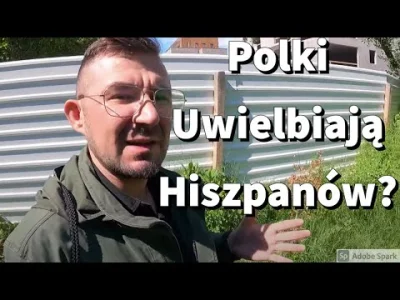 mackbig - Potężny Polish American masakruje p0lki i zapodaje blackpill.

#przegryw ...