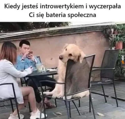 S.....r - #memy #heheszki #humorobrazkowy #przegryw #introwertyzm #piesio