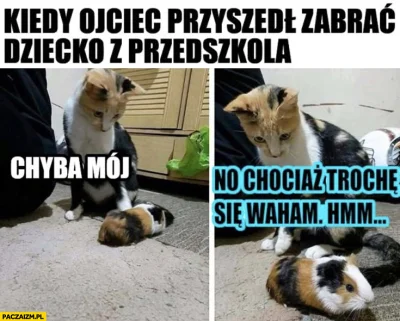 KanapkaPL - Dochodzę do wniosku, że wszyscy starzy mają taki sam c-----y software. Mi...