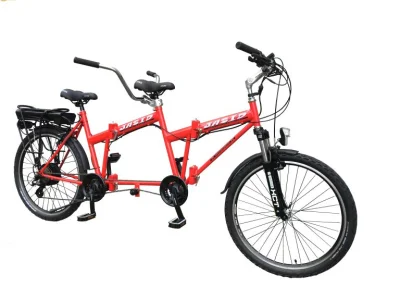rol-ex - > Czy możecie polecić jakieś sensowne rowery elektryczne dla pary?

@sempe...