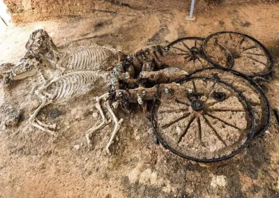 cheeseandonion - >A 2000 year old Thracian chariot with horse skeletons; found in Kar...