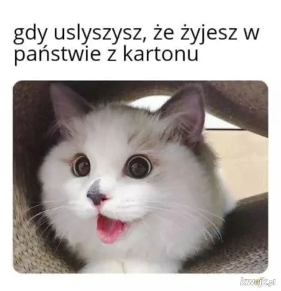 brakloginuf - Jednak znajda sie tacy, ktorzy sie ciesza xd #smiesznypiesek #polska