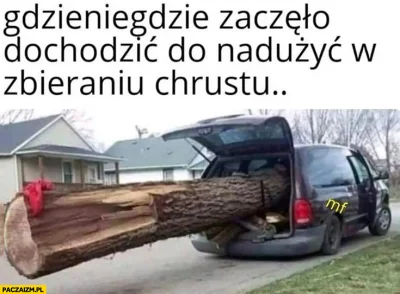 januszzczarnolasu - @IvanBarazniew: ( ͡° ͜ʖ ͡°)