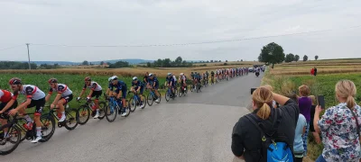 polock - Numer 171 Pascal Ackermann
#tourdepologne #tdp #kolarstwo