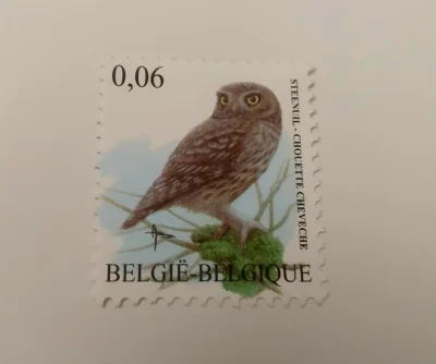Mortadelajestkluczem - Jest i pierwsza sowa :) Belgia 09.07.2007

#znaczkimortadeli