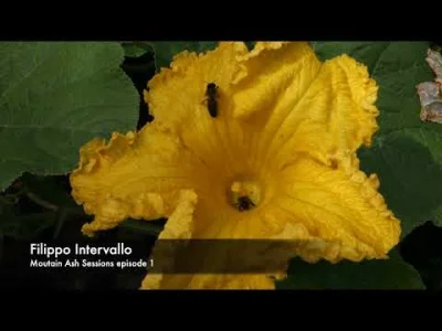 intervallo - #music #progressivehouse

Secik mojego autorstwa 

Filippo Intervall...