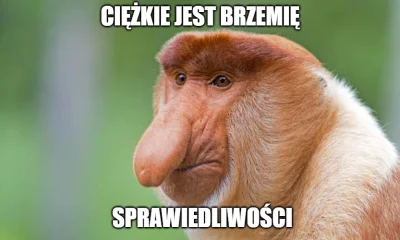 Przegrywasz_przegrywasz - #konkursnanajbardziejgownianymemznosaczem