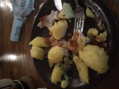 Zoyav - zjadłam prawie całego schabowego i trochę ziemniaków

#tyjzwykopem #chwales...