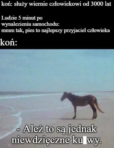 kuba_q2 - #heheszki #humorobrazkowy