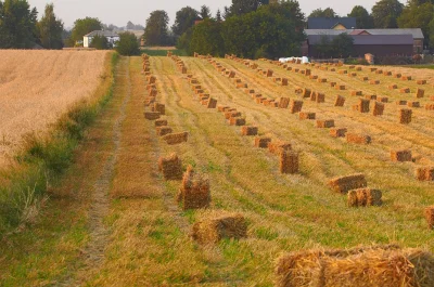 snorli12 - Na waszych #wies prasowanie w snopki to też wyjątek? Kiedyś za dzieciaka p...