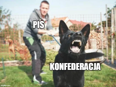 officer_K - > Konfederosja to partia córka pisu, tyko bardziej radykalna, bardziej ro...