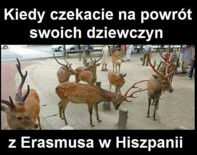 Sultanat_Muszelki - #humorobrazkowy #logikarozowychpaskow #zwiazki #erasmus #zawszesm...