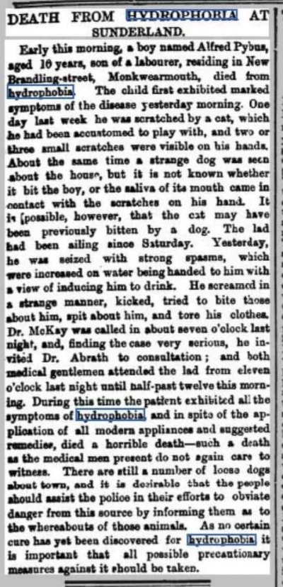 cheeseandonion - >British news article from 1890 describing a boy's death from rabies...