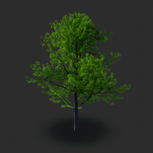 rukh - To drzewo w 3D zrobiłem około 8 lat temu w CSS.
Zero skryptowania, według tej...