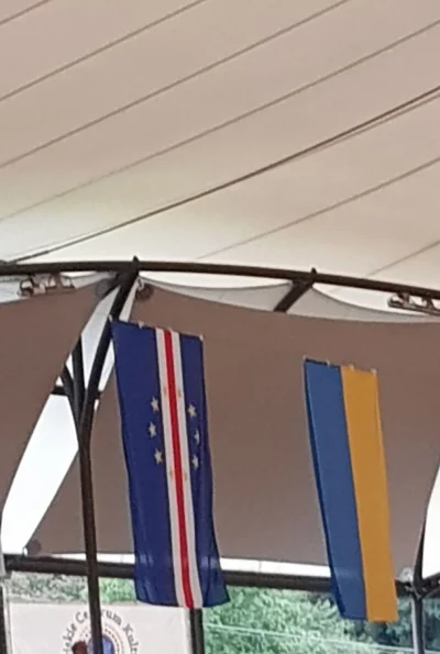 kamillus9 - Wie ktoś co ta za flaga wisi koło ukraińskiej?